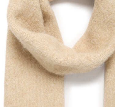 ICHI SJAAL CAMEL